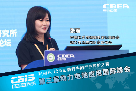 張雨，中國化學與物理電源行業協會動力電池應用分會秘書長