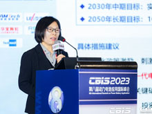 國家自然科學(xué)基金委員會高技術(shù)研究發(fā)展中心技術(shù)總師史冬梅：主要國家和地區(qū)先進電池技術(shù)發(fā)展戰(zhàn)略及態(tài)勢